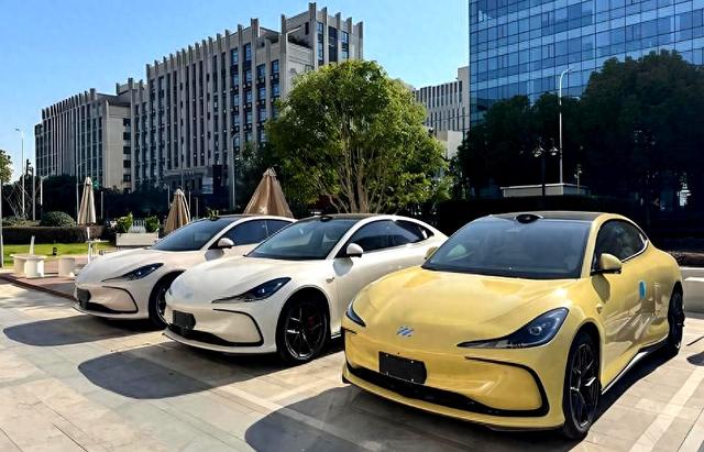 电车诱惑00后，理性中青年选油车，尝鲜代价要认清-有驾