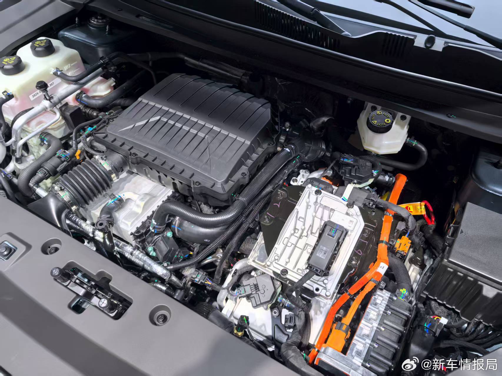 2025成都车展：最火十款新车全是新能源