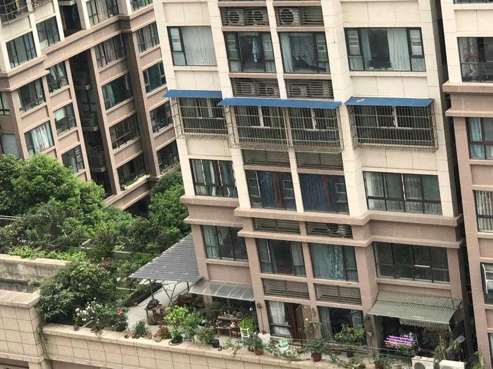 买了低层带露台的房子，以为是捡到宝了，入住后才知是噩梦的开始__买了低层带露台的房子，以为是捡到宝了，入住后才知是噩梦的开始