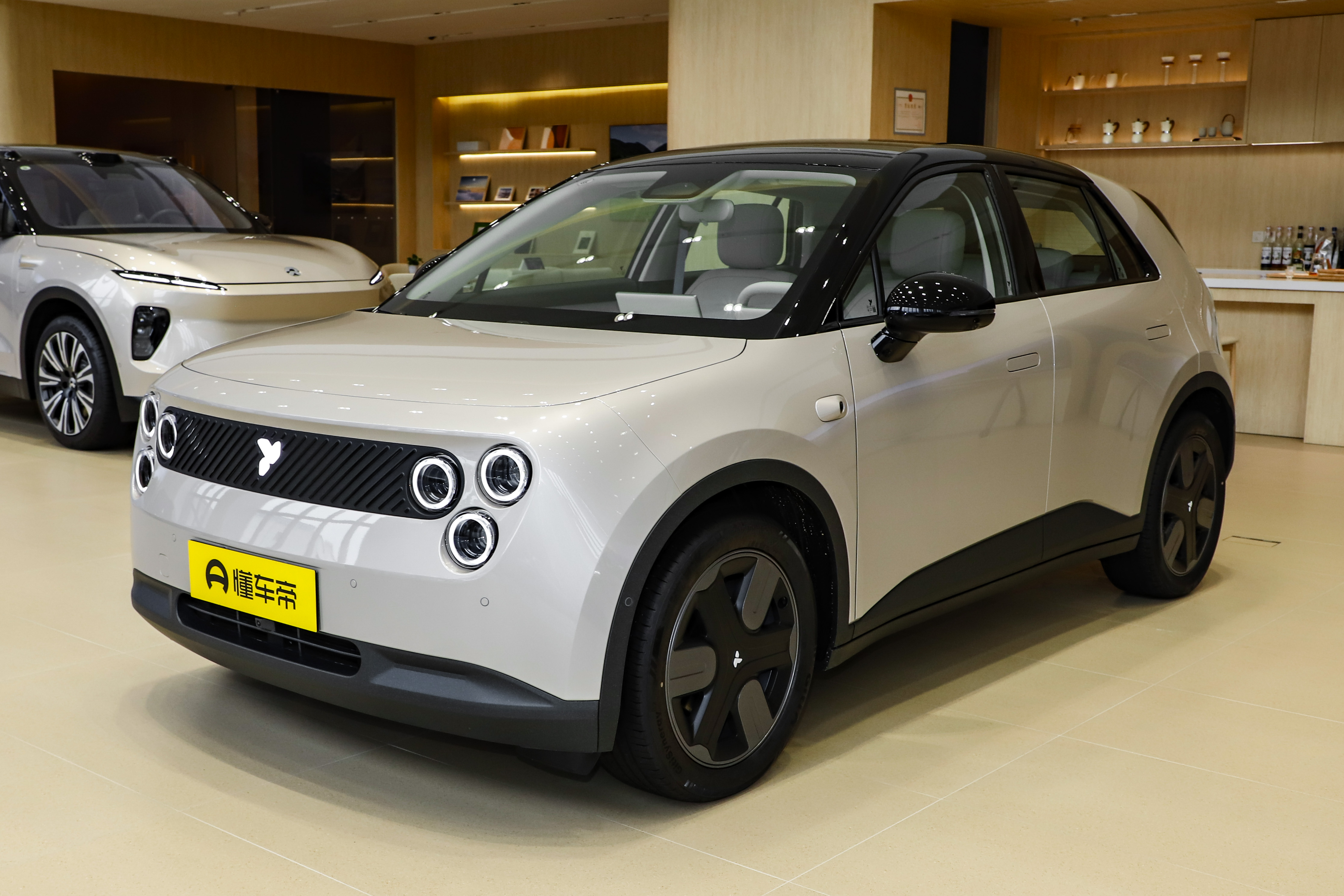 大众电瓶汽车什么价__大众小电动