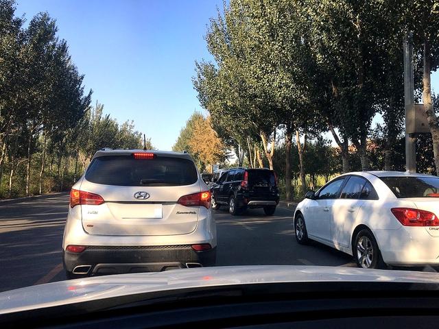 成都车展观察,燃油车已成情怀,未来属于电动车?-有驾