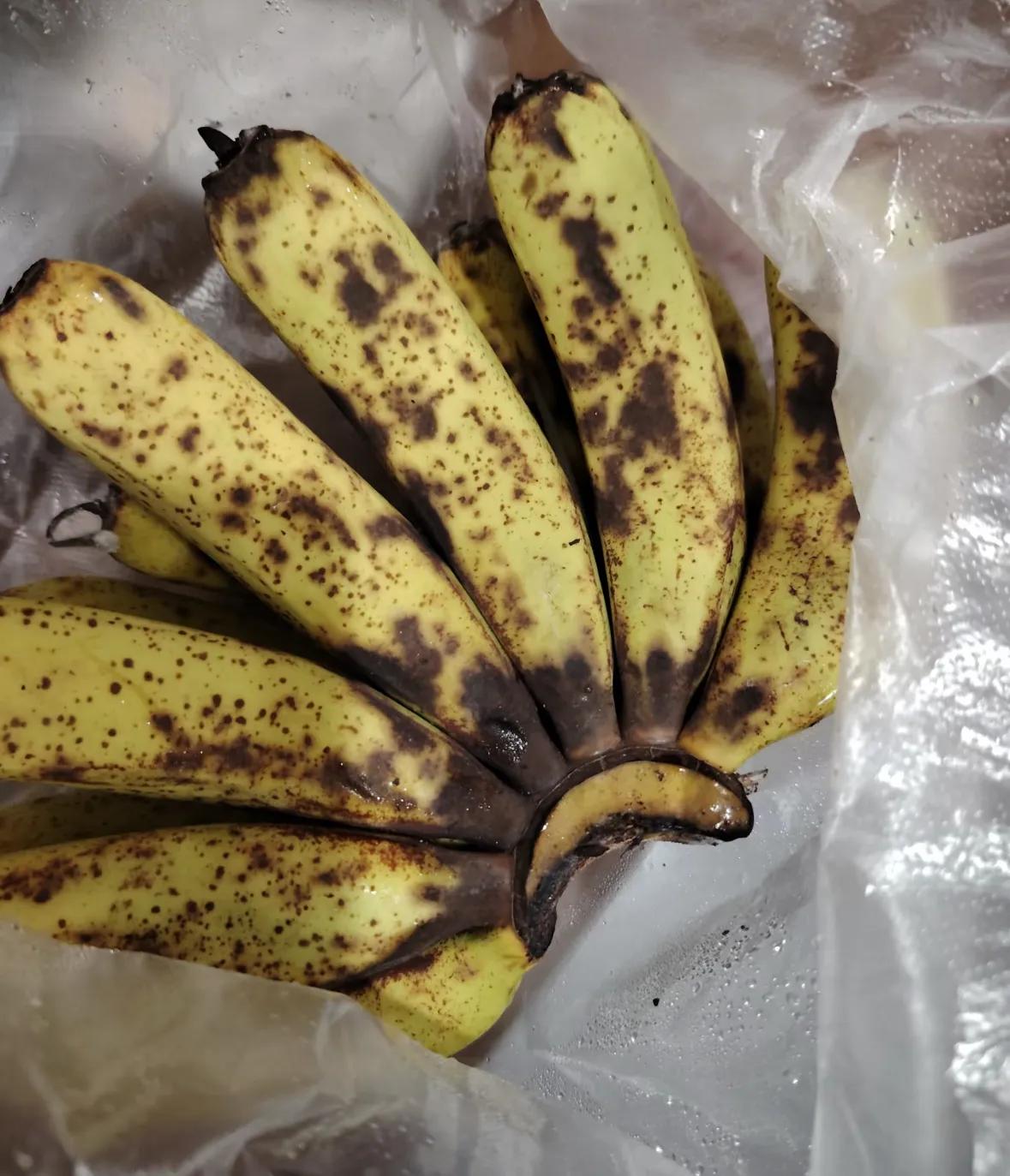 过度节俭失去的是什么__过度节俭的人