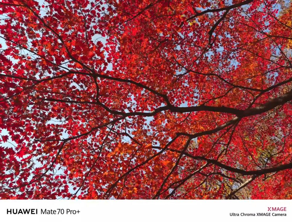 华为魅力__华为审美