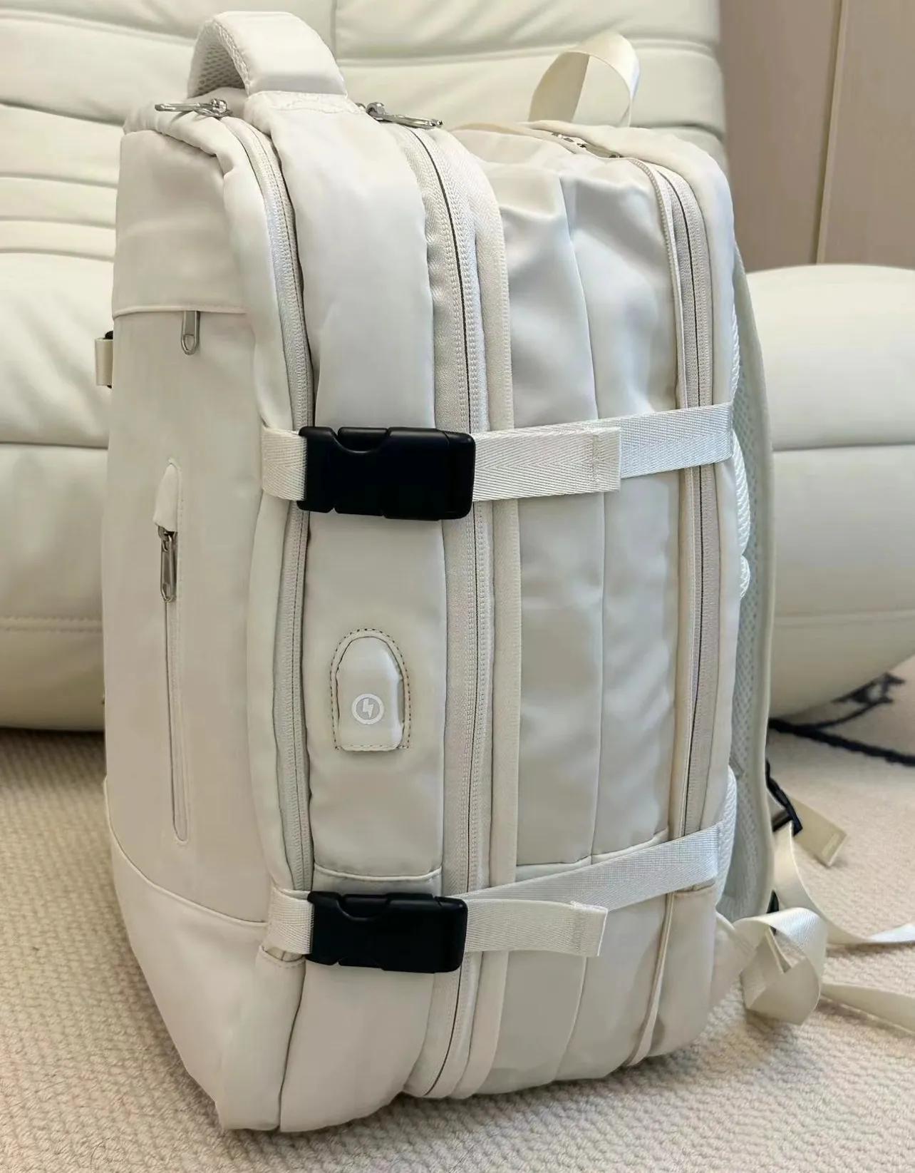 买了便宜还卖乖是什么动物__便宜买不了上当