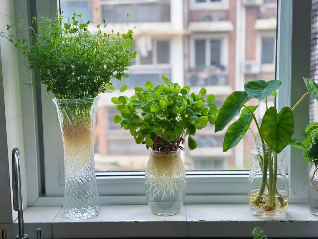 扔多余的东西__扔出去的东西