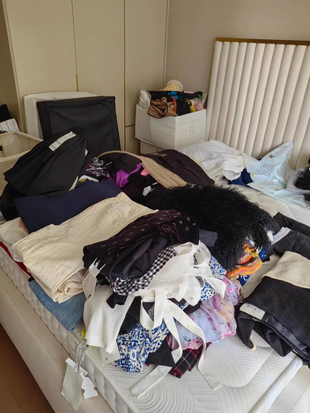 扔出去的东西_扔多余的东西_