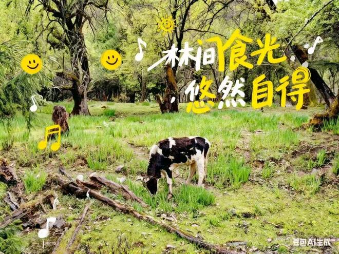 豆包P图大更新，网友们已经玩嗨了__豆包P图大更新，网友们已经玩嗨了