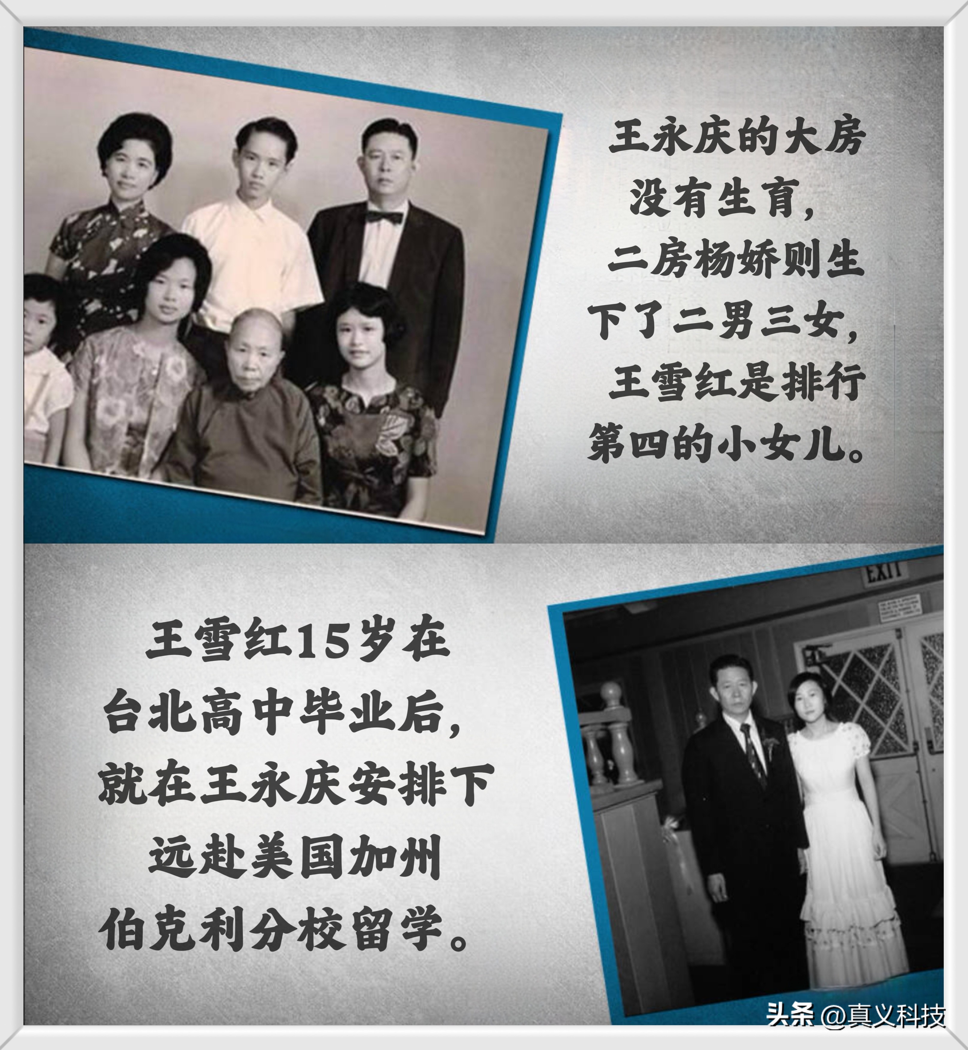 王者的坠落_王者坠落的祸源怎么过_