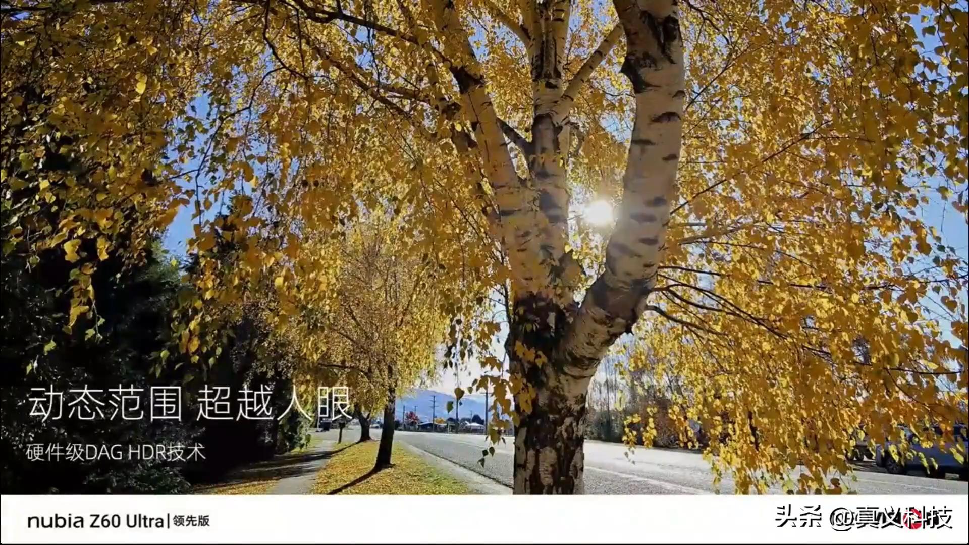 _索尼最新相机传感器_索尼相机传感器天梯图