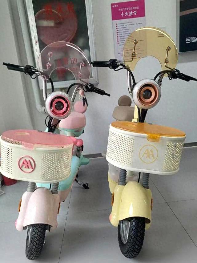 老娘买了三台电动车总结的血泪教训!销售绝对不会告诉你的大实话-有驾