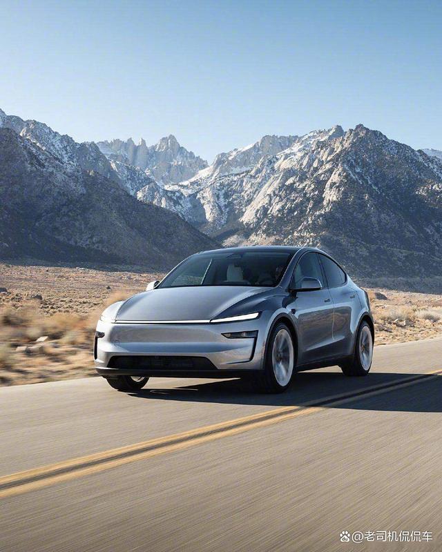 车标一换,销量砍半!特斯拉卖的好的关键:不是中国品牌-有驾