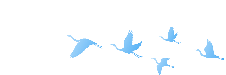 _东兴小区拆迁_东兴区老旧小区改造项目工作