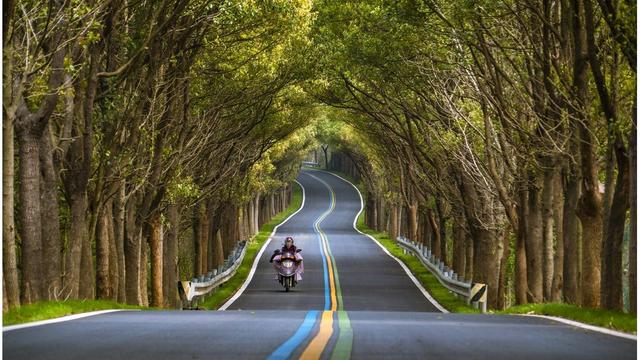 成都车展新车扎堆,新能源亮相多,买家纠结怎么选-有驾