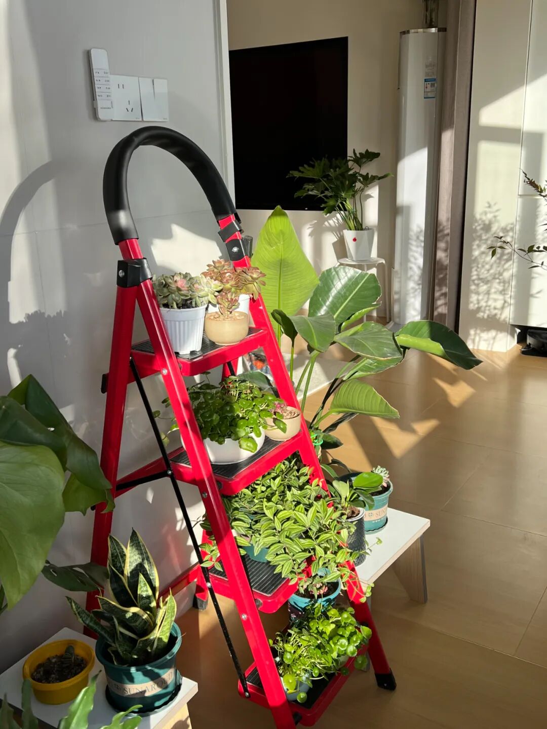 换个思路想庄闲__脑力太累了怎么放松