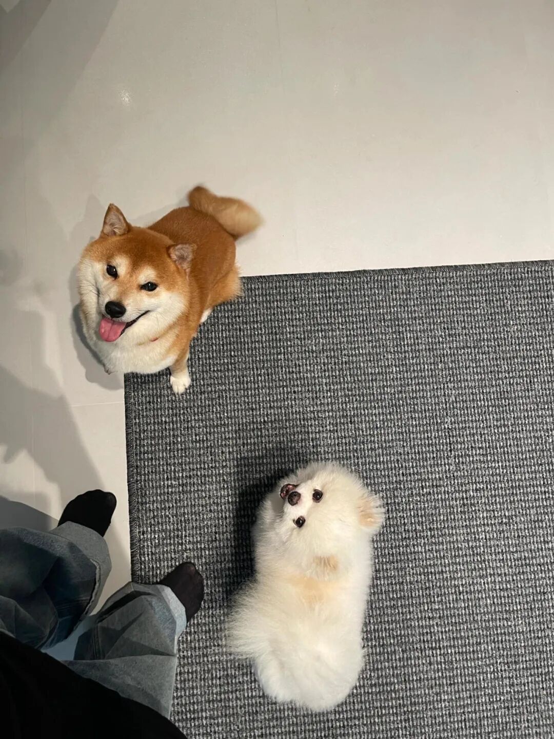 被风油精的“神仙用法”圈粉了！换个方式后，根本就不够用_被风油精的“神仙用法”圈粉了！换个方式后，根本就不够用_