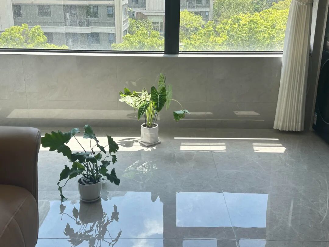 被风油精的“神仙用法”圈粉了！换个方式后，根本就不够用__被风油精的“神仙用法”圈粉了！换个方式后，根本就不够用