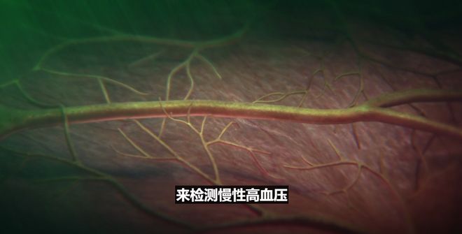 苹果iPhone 17直捅安卓老巢,库克终于大方了一把__苹果iPhone 17直捅安卓老巢,库克终于大方了一把