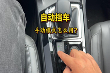 _奇瑞吉利长城比亚迪哪家技术_比亚迪和奇瑞销量