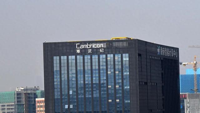 寒武纪 视觉中国 资料图