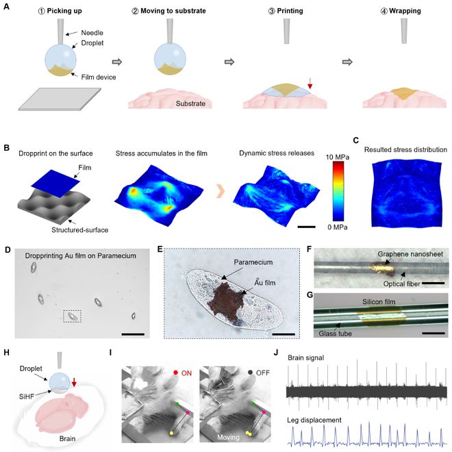 _科学与健康|一滴水“贴膜”?我国科学家开发“液滴打印”新技术_科学与健康|一滴水“贴膜”?我国科学家开发“液滴打印”新技术