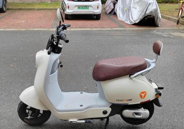 谁卖得最火？2025电动车销量榜出炉，排名大洗牌-有驾