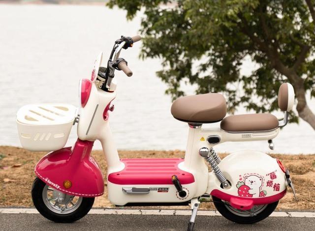 谁卖得最火？2025电动车销量榜出炉，排名大洗牌-有驾