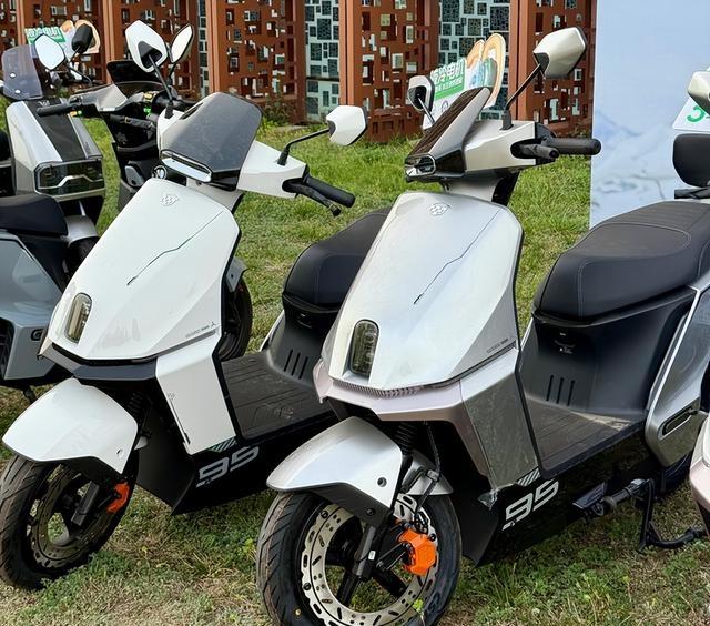 谁卖得最火？2025电动车销量榜出炉，排名大洗牌-有驾