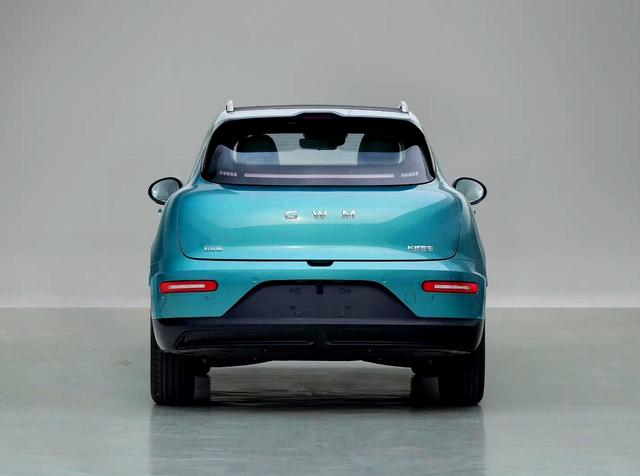 欧拉憋王炸：卷土重来，这次能翻盘？别再翻车了喂！-有驾