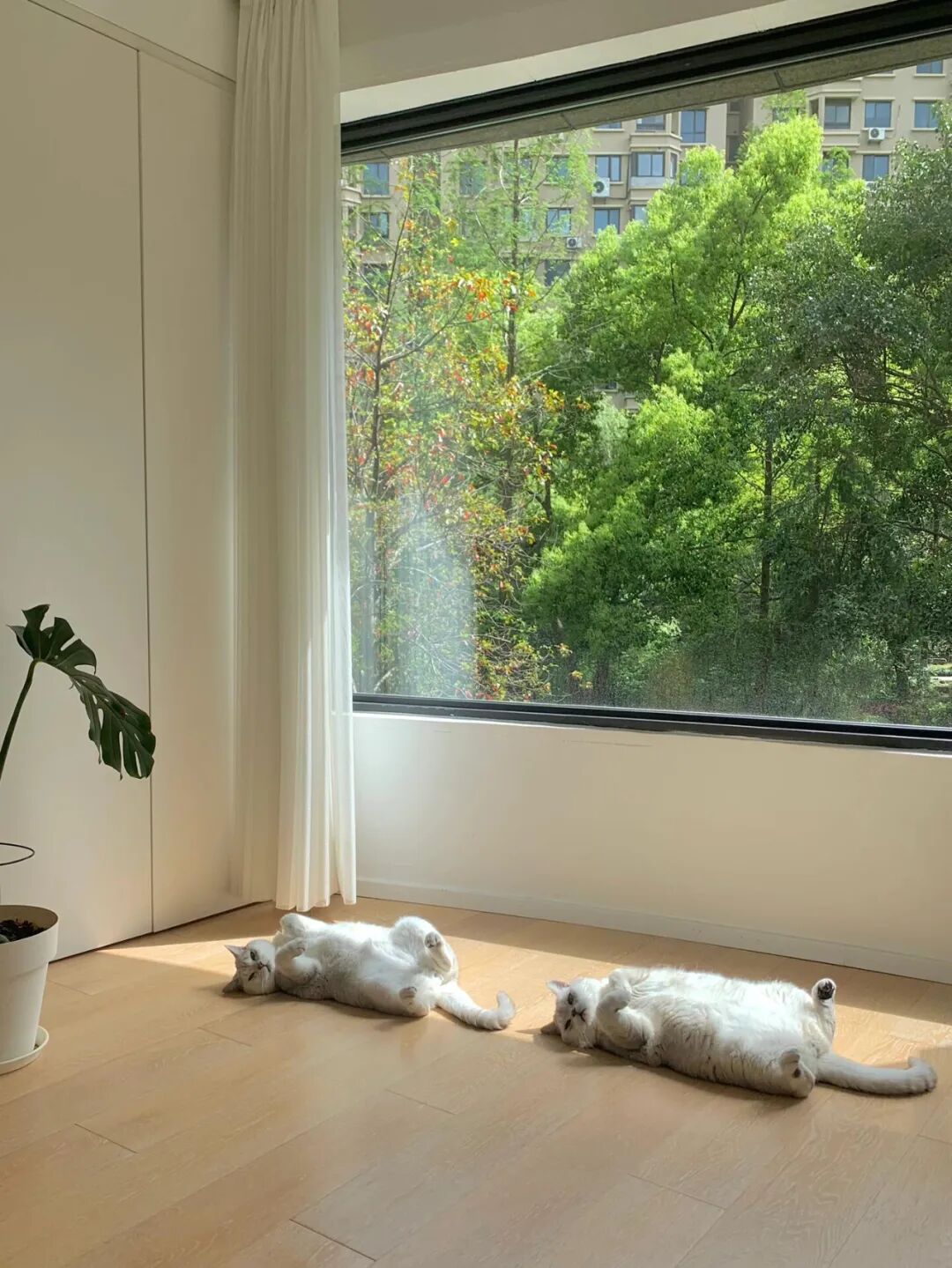 买二手房后发现厨房下水道堵_二手物品比较值钱的东西_