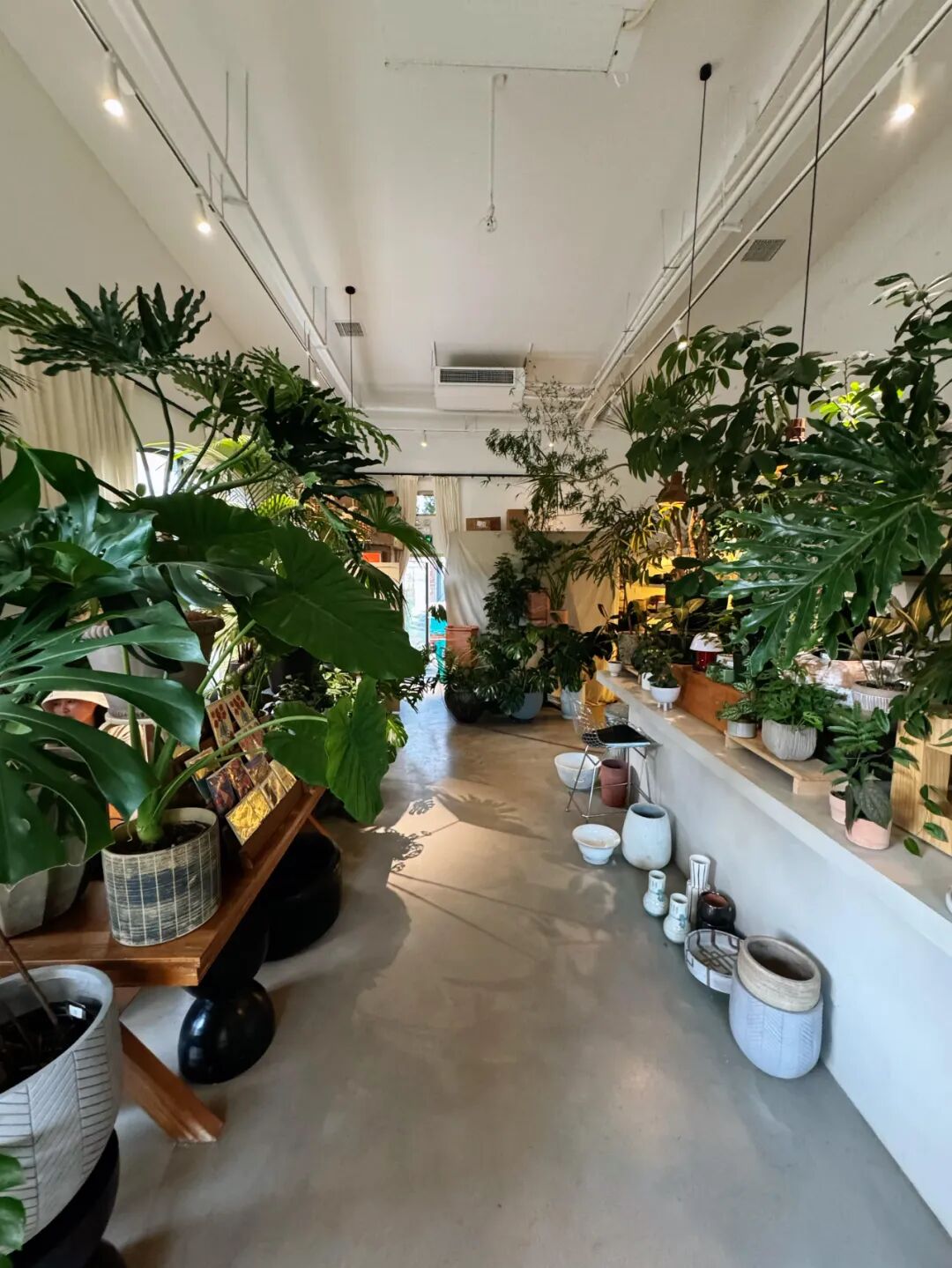 买二手房后发现厨房下水道堵__二手物品比较值钱的东西