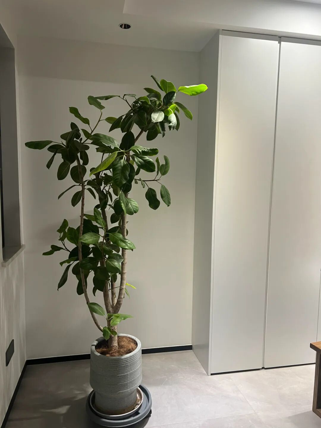 _二手物品比较值钱的东西_买二手房后发现厨房下水道堵