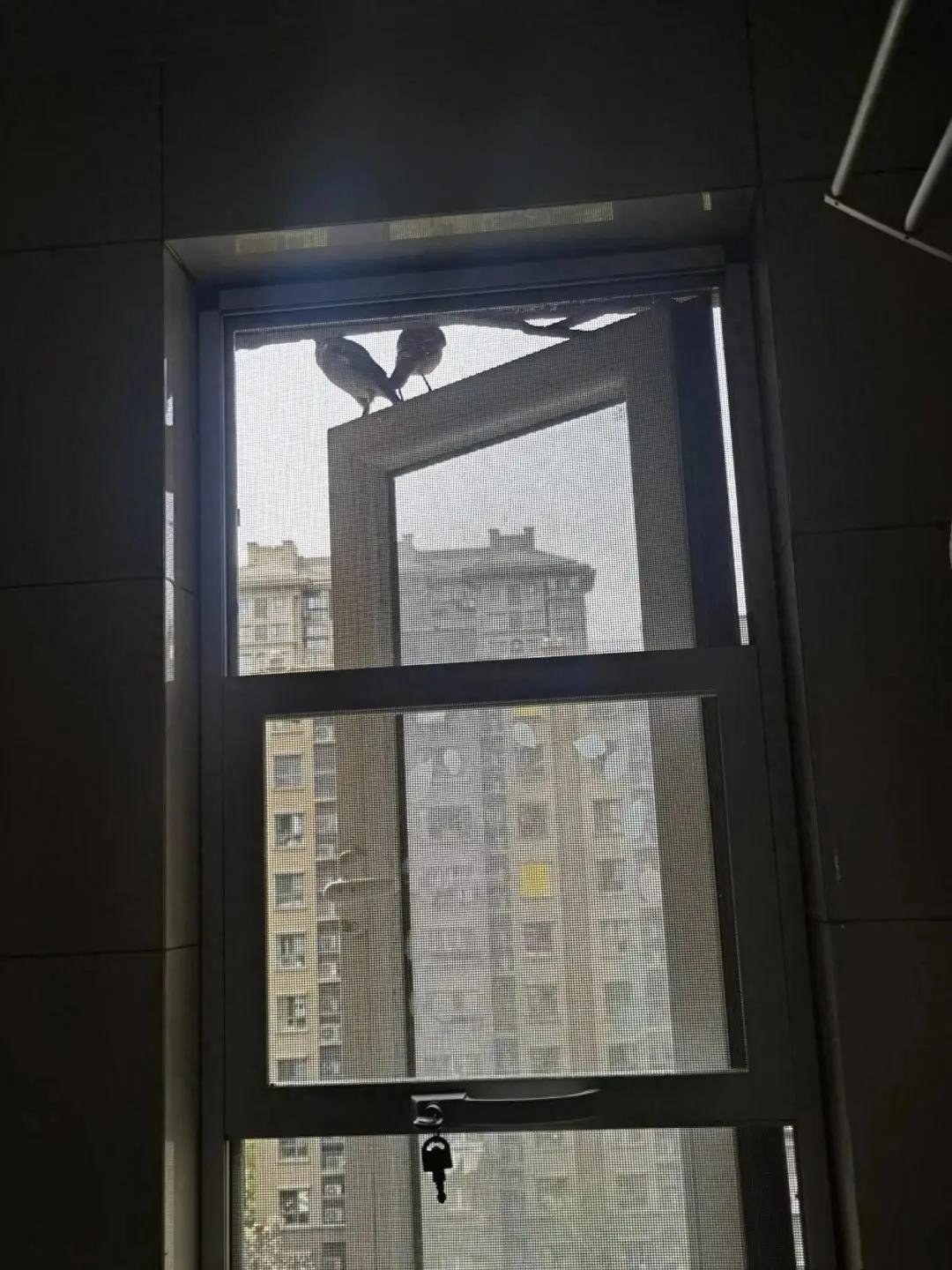 别大意！有人家里的卫生间被“入侵”了，吊顶上面让人大呼意外__别大意！有人家里的卫生间被“入侵”了，吊顶上面让人大呼意外