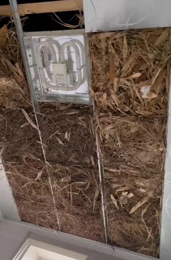 别大意！有人家里的卫生间被“入侵”了，吊顶上面让人大呼意外__别大意！有人家里的卫生间被“入侵”了，吊顶上面让人大呼意外