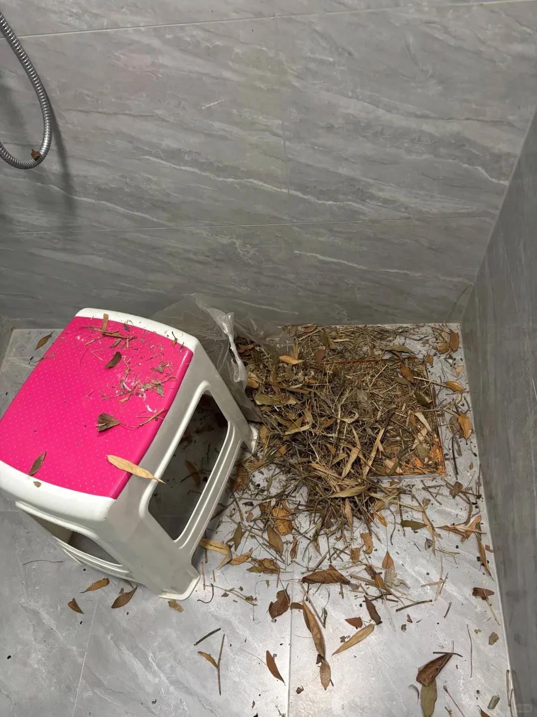 别大意！有人家里的卫生间被“入侵”了，吊顶上面让人大呼意外_别大意！有人家里的卫生间被“入侵”了，吊顶上面让人大呼意外_