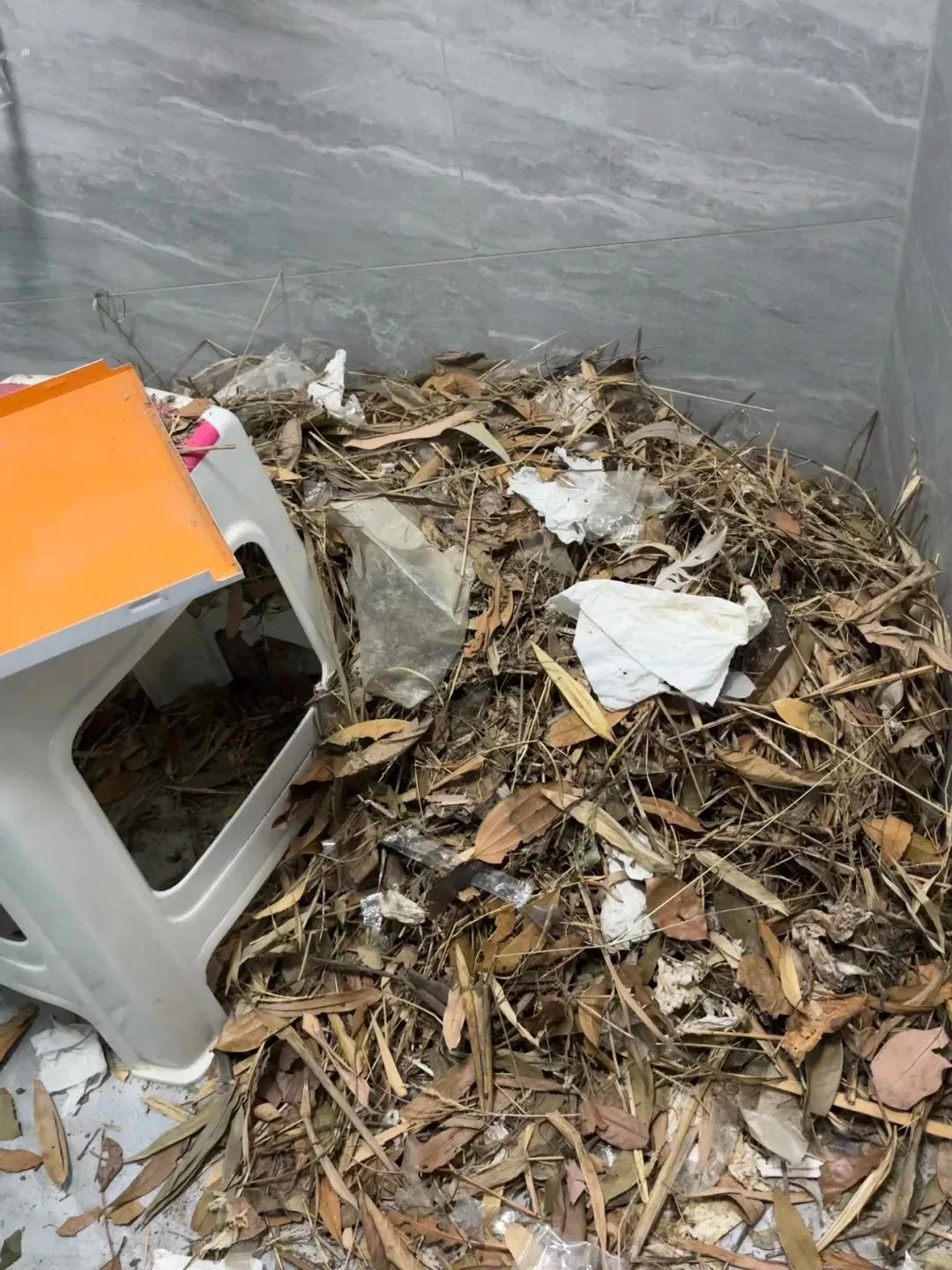 别大意！有人家里的卫生间被“入侵”了，吊顶上面让人大呼意外_别大意！有人家里的卫生间被“入侵”了，吊顶上面让人大呼意外_