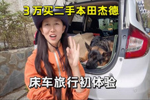 本田越野车二手车_二手本田旅行车_