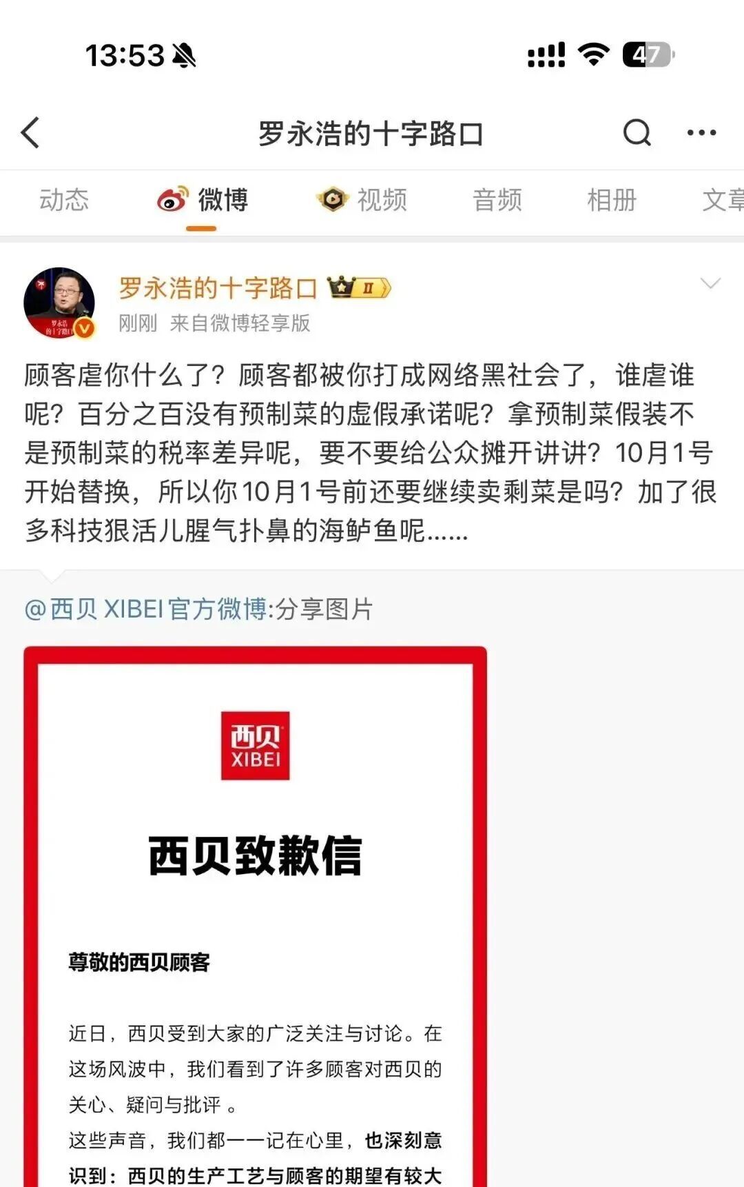 罗永浩吃披萨__罗永浩对西门子的影响