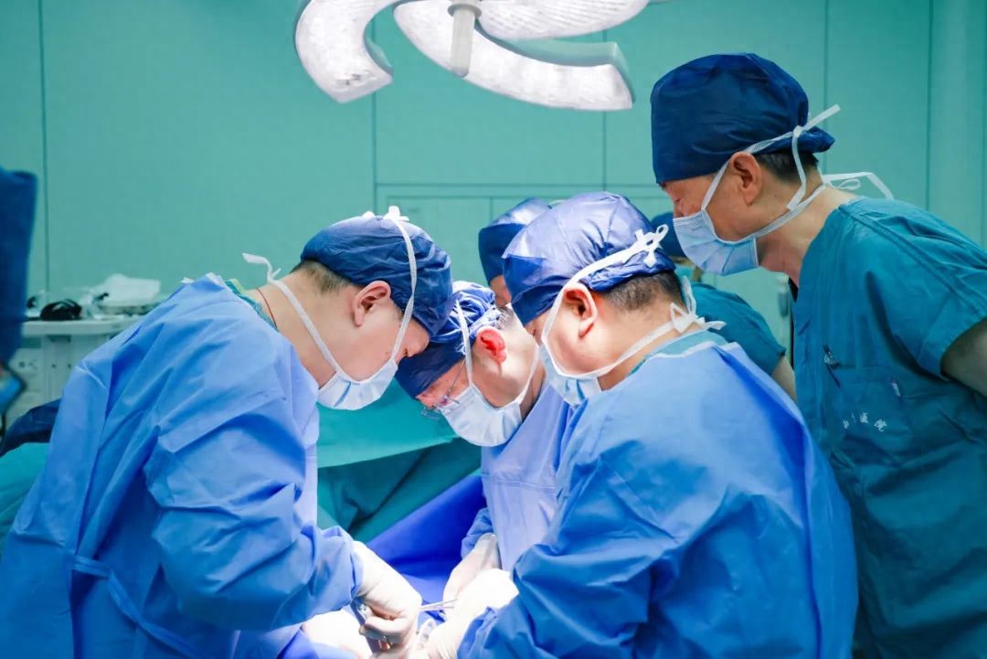 _器官移植最长寿命_器官移植存活率排序