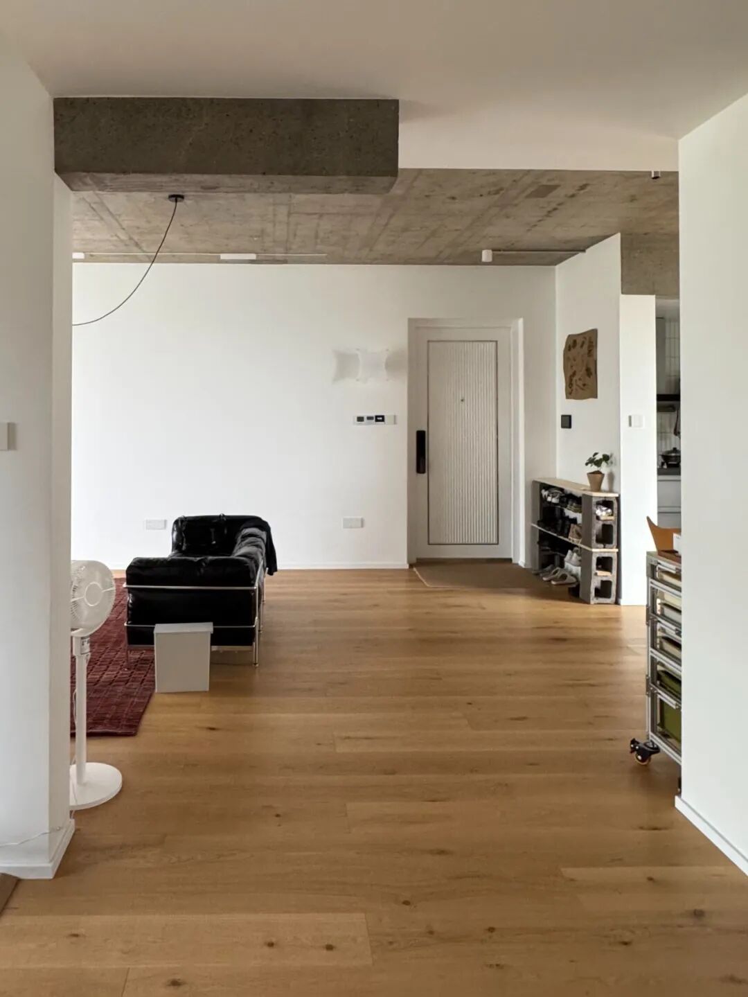 女子毛坯房装修_新地球发现引网友畅想_