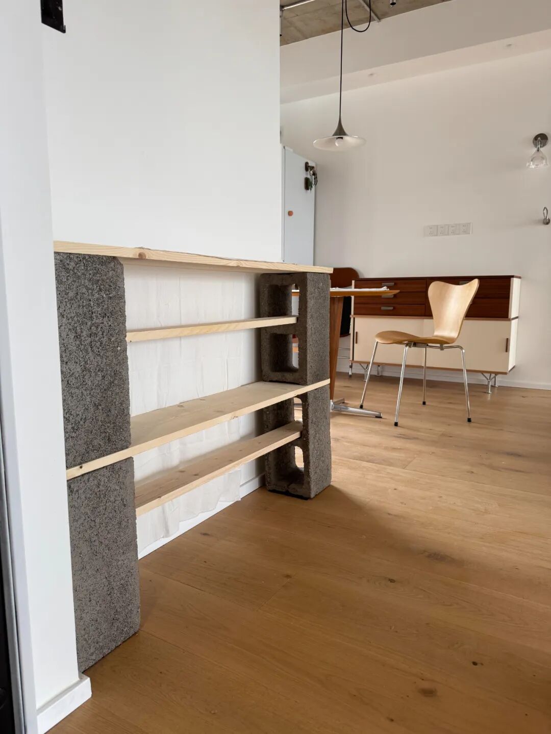 _女子毛坯房装修_新地球发现引网友畅想