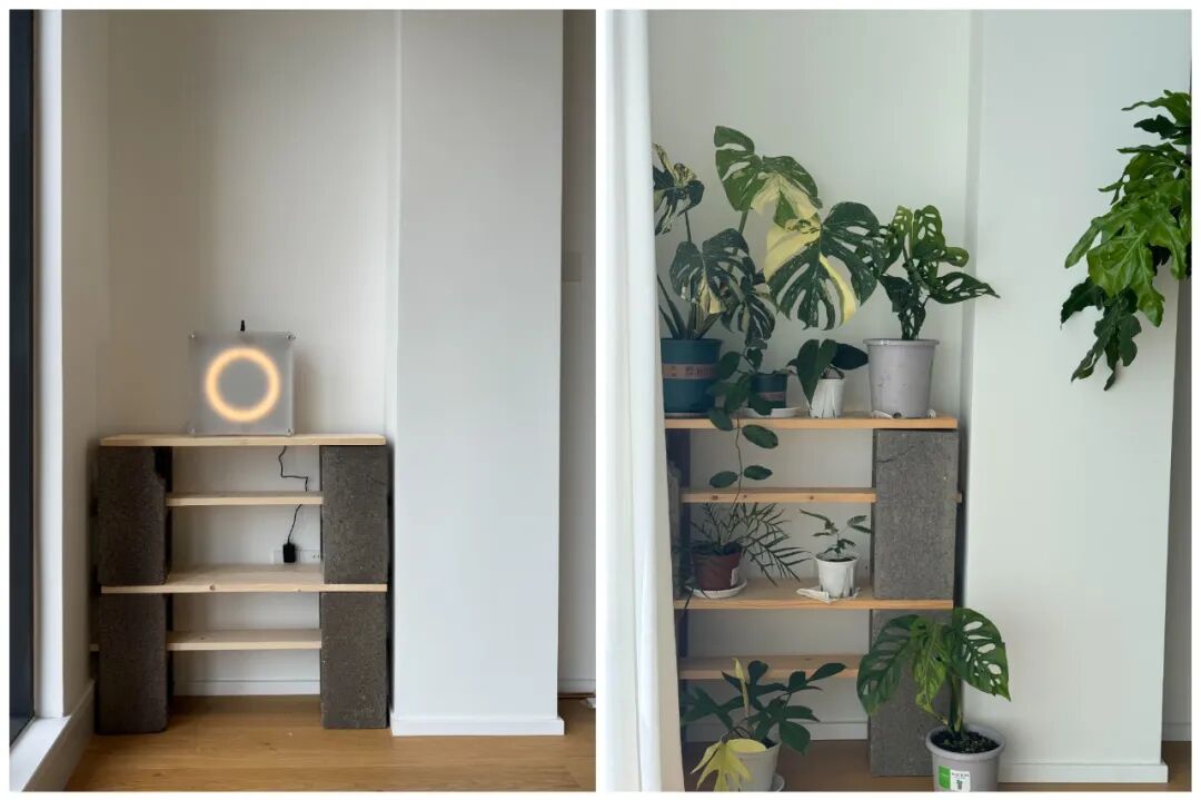 新地球发现引网友畅想_女子毛坯房装修_