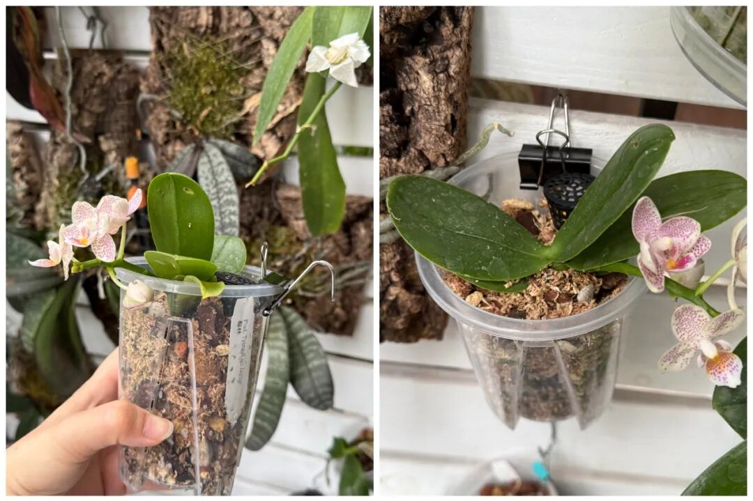 还是年轻人脑洞大！“办公用品”换个方式用，竟比专门买的还好用_还是年轻人脑洞大！“办公用品”换个方式用，竟比专门买的还好用_