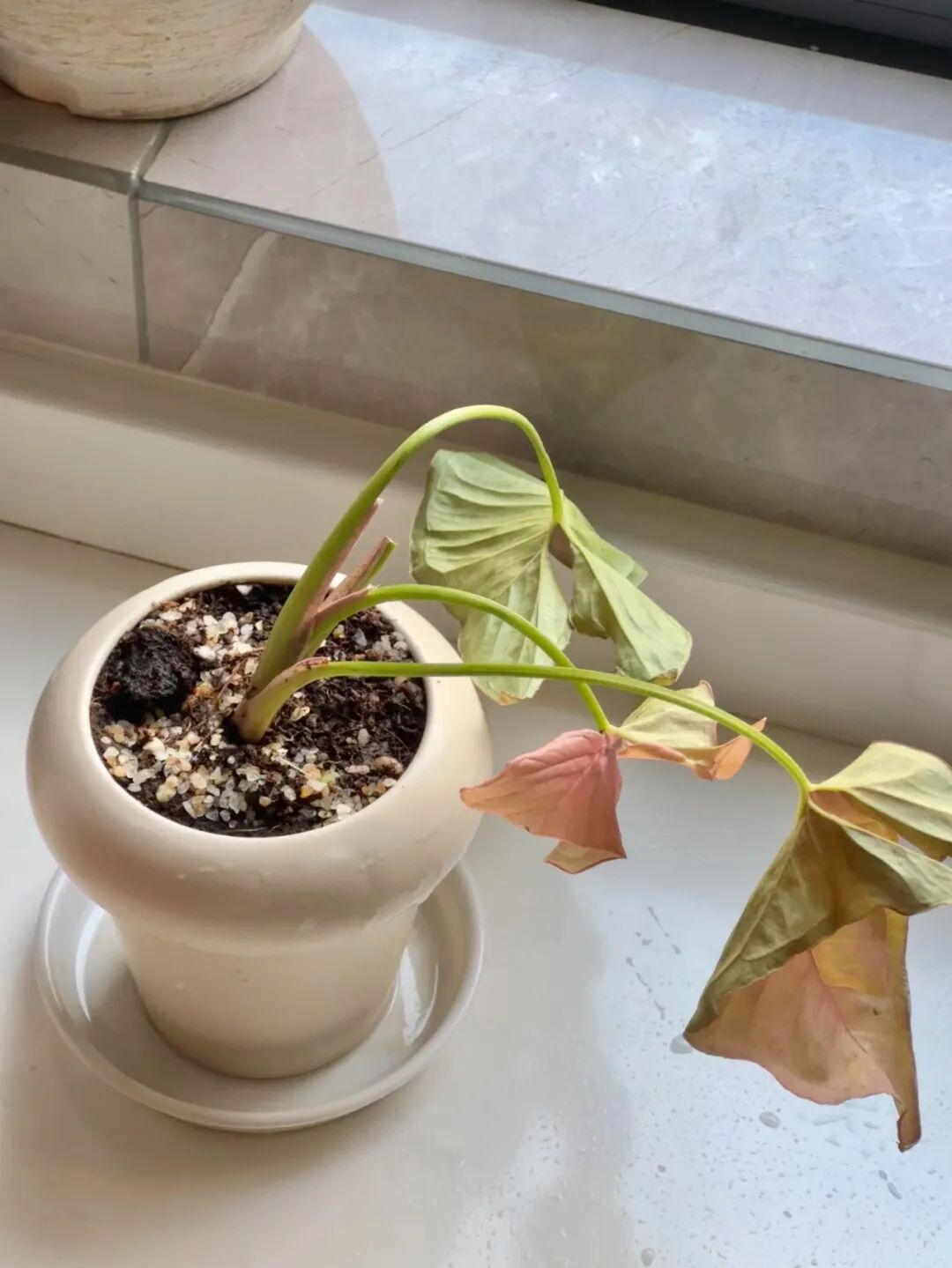 有一种痛苦叫“厨房乱抄作业”,入住两个月,全是生活痛点!__有一种痛苦叫“厨房乱抄作业”,入住两个月,全是生活痛点!