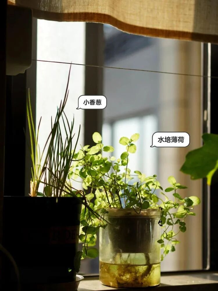 有一种痛苦叫“厨房乱抄作业”,入住两个月,全是生活痛点!__有一种痛苦叫“厨房乱抄作业”,入住两个月,全是生活痛点!