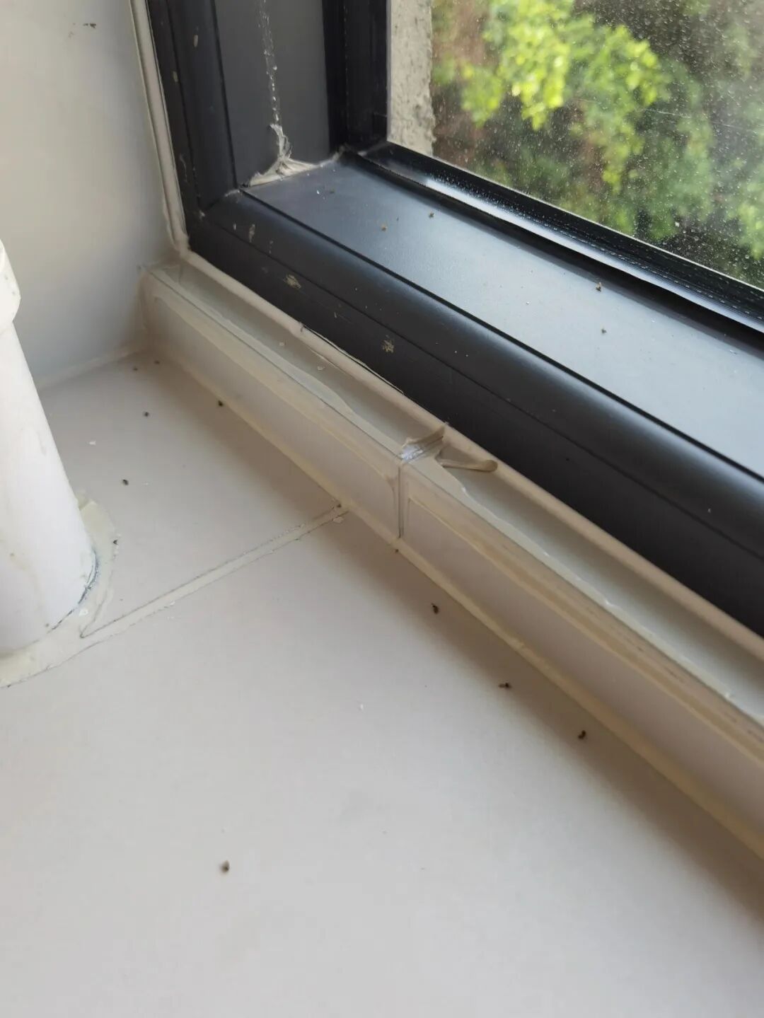 老妈厨房做饭图片大全__老妈厨房创始人