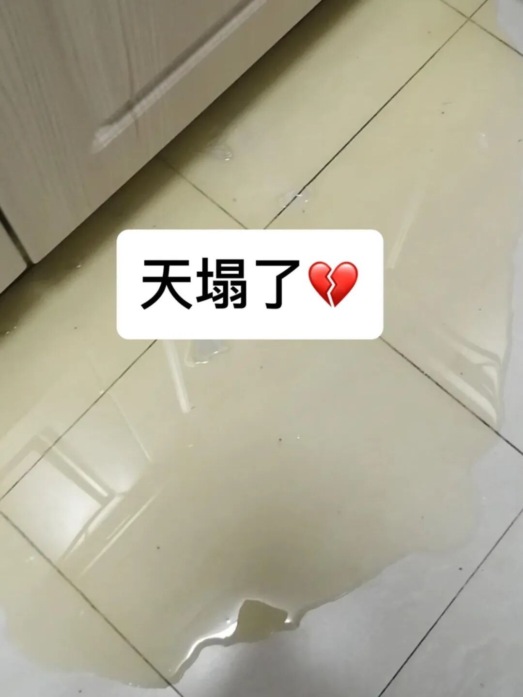 _老妈厨房创始人_老妈厨房做饭图片大全