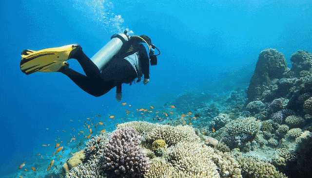 _刚刚，OpenAI Sora 2重磅登场！首个APP上线，或将成为AI时代新TikTok_刚刚，OpenAI Sora 2重磅登场！首个APP上线，或将成为AI时代新TikTok