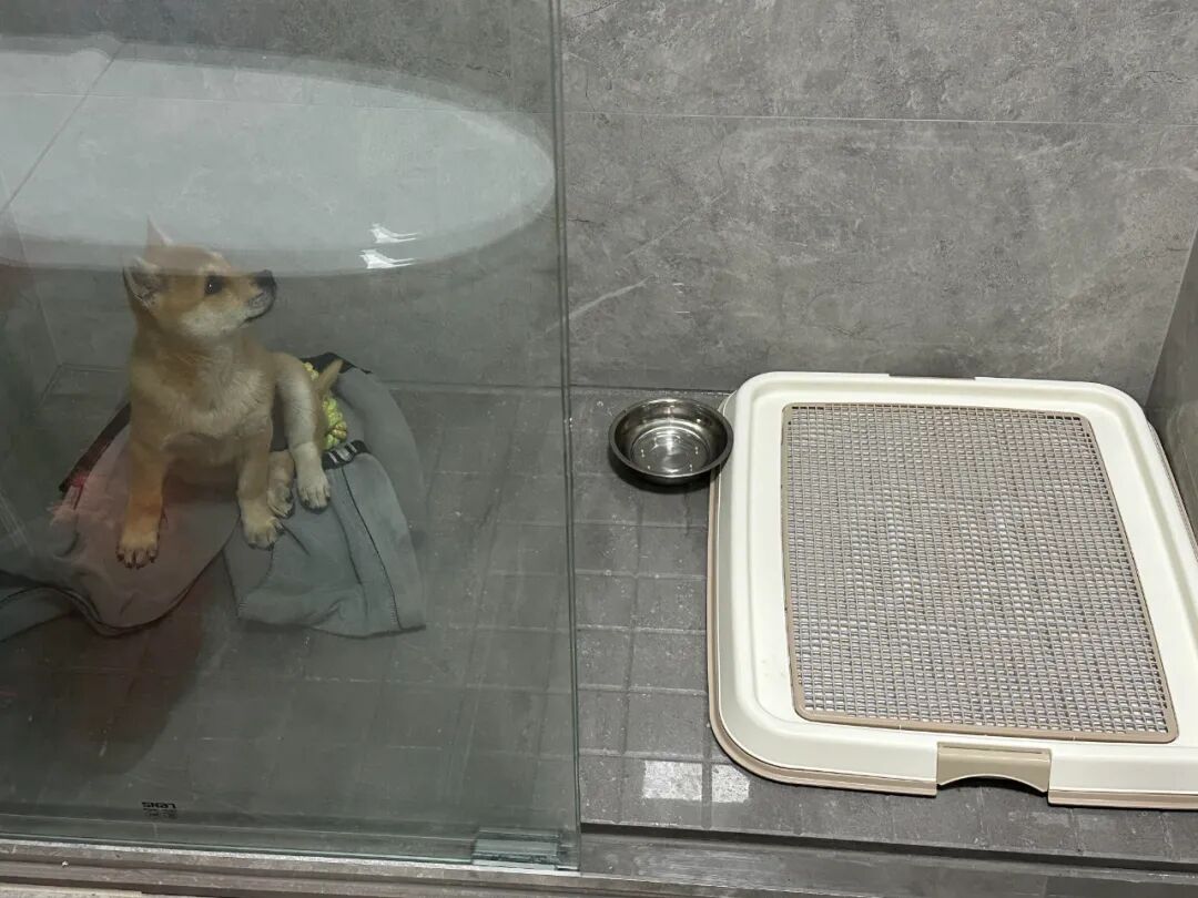 _智商税是指哪些市场陷阱_智商税产品是什么意思