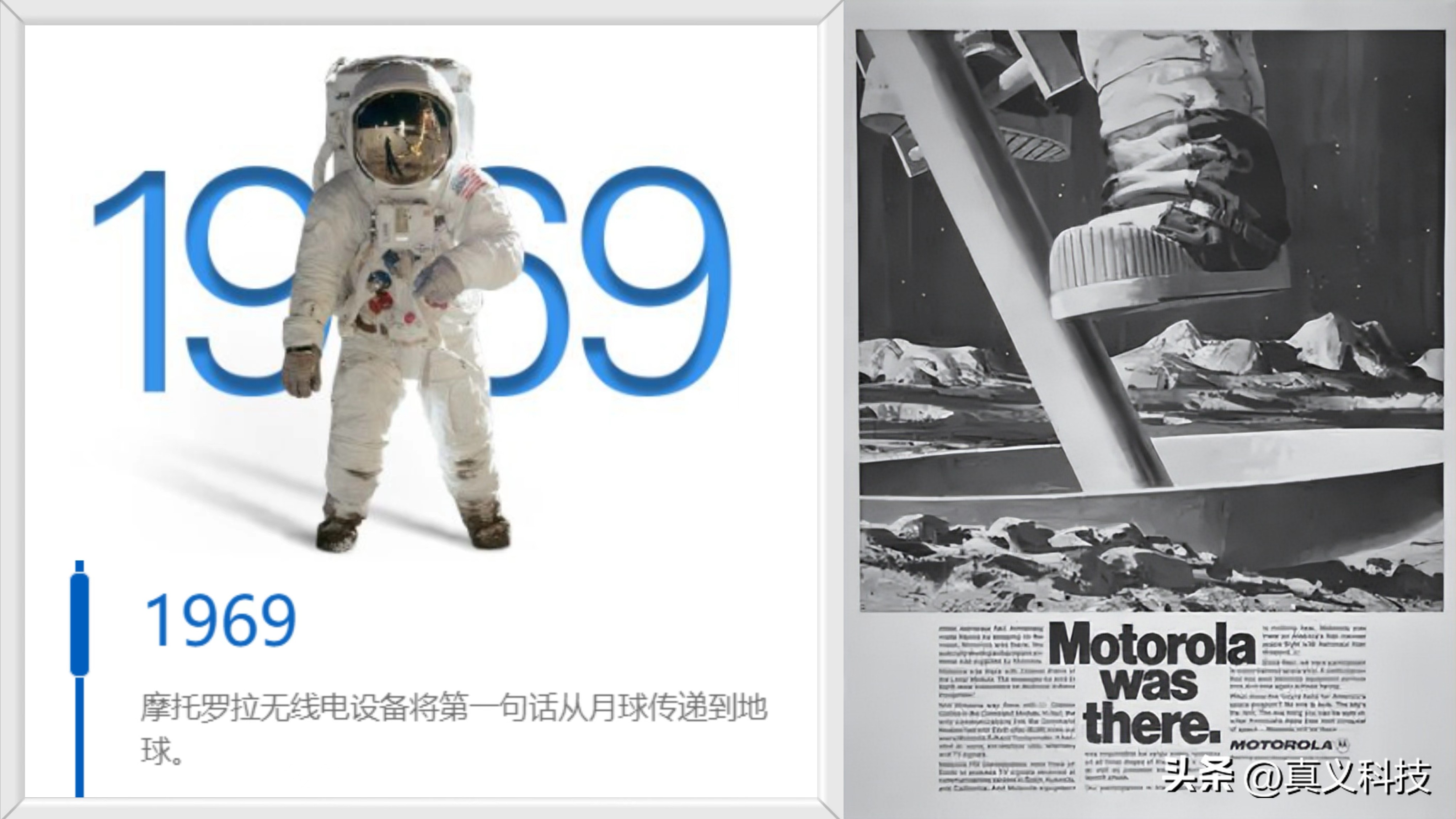 百年西敏寺犬展全场总冠军回顾_未来科技感摩托车_