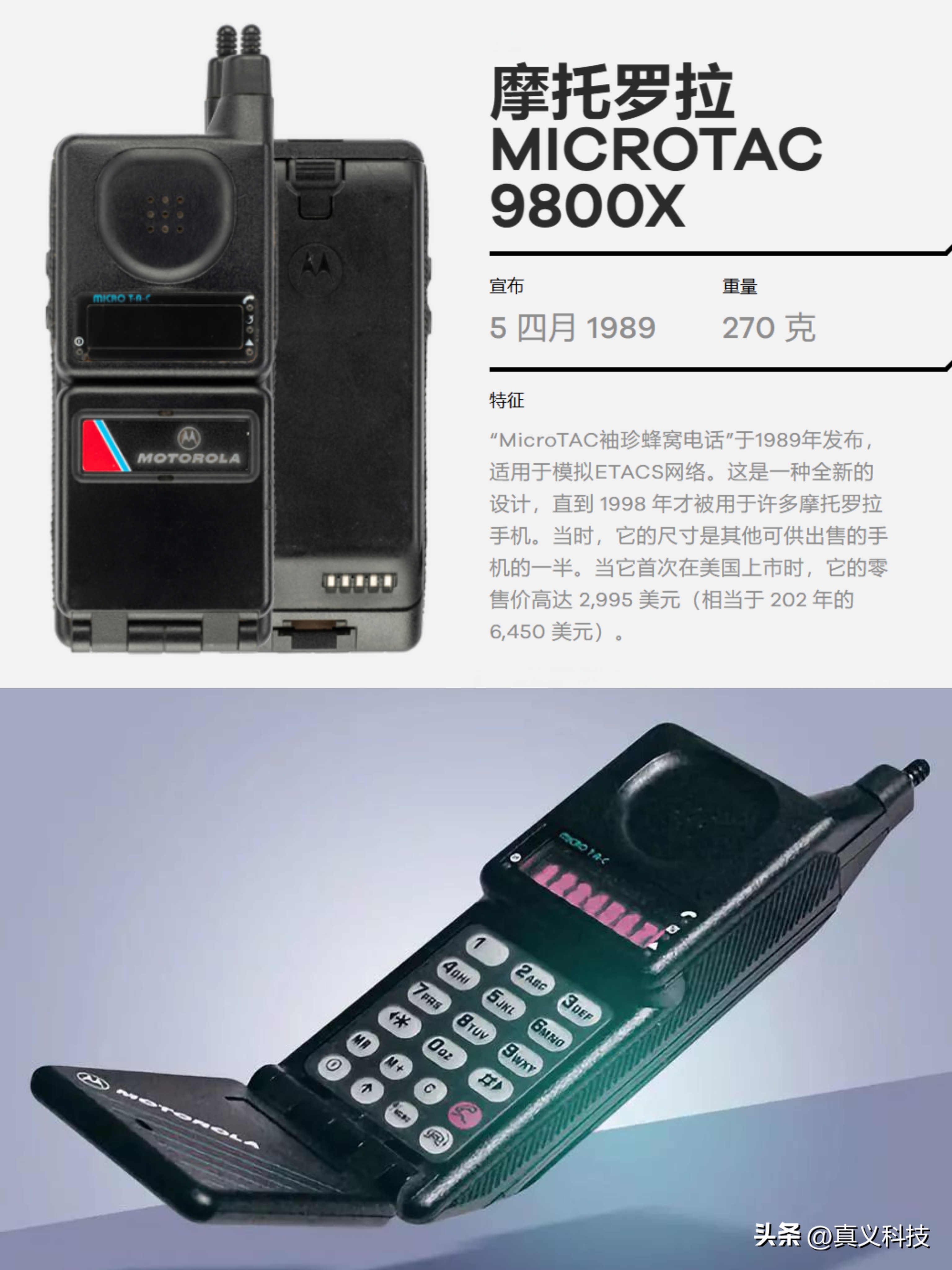 _百年西敏寺犬展全场总冠军回顾_未来科技感摩托车